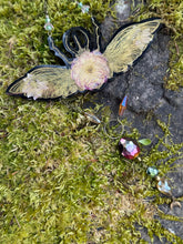 Load image into Gallery viewer, Pollinator Wall Art — Pressed Flower Hangings