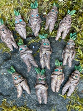 Load image into Gallery viewer, Rootlings resting on dark stone — one mid-scream, the rest unbothered