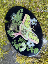 Load image into Gallery viewer, Enchanted Forest Moth Relic
