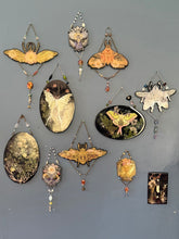 Load image into Gallery viewer, Pollinator Wall Art — Pressed Flower Hangings