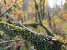 Load image into Gallery viewer, Fairy Queen Wands