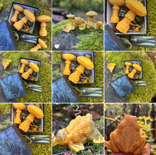 Load image into Gallery viewer, Forest Creature Candle Sets: Toads and Mushrooms