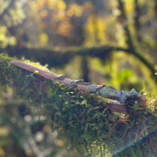 Load image into Gallery viewer, Mushroom Magic Wand