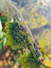 Load image into Gallery viewer, Fairy Queen Wands