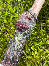 Load image into Gallery viewer, Enchanted Morel Mushroom Wand | 13” Magic Wand with Quartz & Jasper