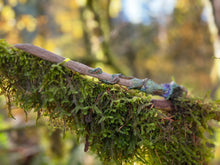 Load image into Gallery viewer, Mushroom Magic Wand