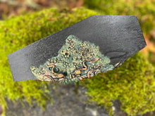 Load image into Gallery viewer, Mystic Mimic Coffin Stash Box