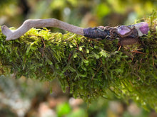 Load image into Gallery viewer, Mushroom Magic Wand