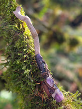 Load image into Gallery viewer, Mushroom Magic Wand