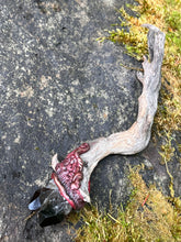 Load image into Gallery viewer, Smokey Quartz River Witch Wand