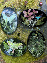Load image into Gallery viewer, Enchanted Forest Moth Relic