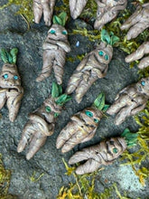 Load image into Gallery viewer, A full crop of freshly pulled rootlings lying together on moss and river rock