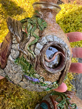 Load image into Gallery viewer, Jugs O'Shire