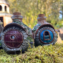 Load image into Gallery viewer, Jugs O'Shire