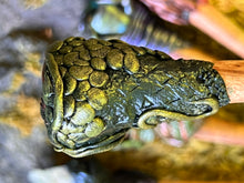 Load image into Gallery viewer, Dragon Eyed Hair Sticks