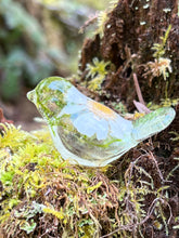 Load image into Gallery viewer, 3 Little Birds