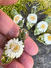 Load image into Gallery viewer, 3 Little Birds