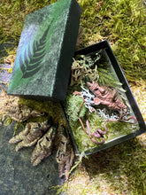 Load image into Gallery viewer, miniature mandrake creatures sculpted from polymer clay , shown in a gift box full of moss and leaves.