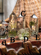 Load image into Gallery viewer, Spiral Dance Vine Terrarium Crystals