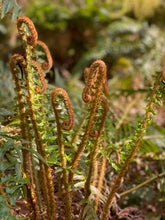 Load image into Gallery viewer, Summer Green Magic Wands