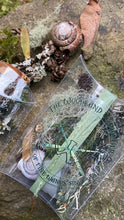 Load image into Gallery viewer, clear plastic pillow shaped box full of moss, snail shell, maple seed wing, and tiny cones , sitting on a stone surroundd by other forest finds .