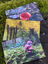 Load image into Gallery viewer, Pacific Northwest Postcards