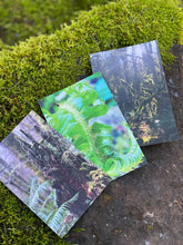 Load image into Gallery viewer, Pacific Northwest Postcards