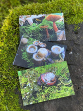 Load image into Gallery viewer, Pacific Northwest Postcards