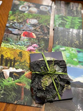 Load image into Gallery viewer, Pacific Northwest Postcards