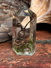 Load image into Gallery viewer, Spiral Dance Vine Terrarium Crystals