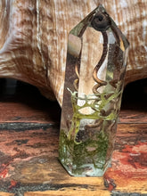 Load image into Gallery viewer, Spiral Dance Vine Terrarium Crystals