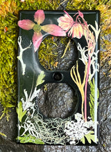 Load image into Gallery viewer, Witchy Switch Covers **PREORDER**