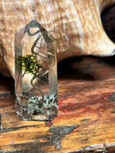 Load image into Gallery viewer, Spiral Dance Vine Terrarium Crystals