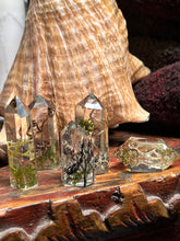 Load image into Gallery viewer, Spiral Dance Vine Terrarium Crystals