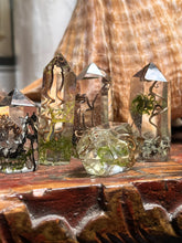 Load image into Gallery viewer, Spiral Dance Vine Terrarium Crystals