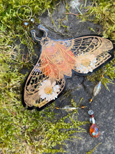 Load image into Gallery viewer, Pollinator Wall Art — Pressed Flower Hangings
