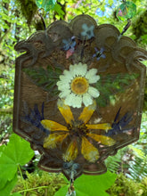Load image into Gallery viewer, Pollinator Wall Art — Pressed Flower Hangings
