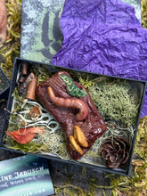 Load image into Gallery viewer, Hand-sculpted earthworm and chanterelle brooch nestled in a gift box with foraged moss, lichen, bark curls, pinecone, and dried flower, with hand-painted fern lid and purple tissue paper, by The Woodland Wandolier
