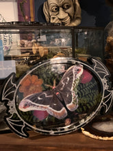 Load image into Gallery viewer, Enchanted Forest Guardian Tray – Fern, Aventurine &amp; Silk Moth Resin Dish
