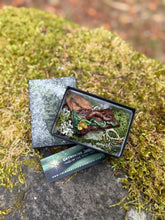 Load image into Gallery viewer, A small black square display box filled with moss, dried leaves, and a small textured stump fragment with a worm and tiny mushrooms handsculpted as a pin for wearing, placed on a moss-covered rock outdoors. The lid and a branded card are visible beside it.
