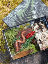 Load image into Gallery viewer, Wiggler in a Stump — Handmade Sculptural Brooch
