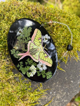 Load image into Gallery viewer, Enchanted Forest Moth Relic
