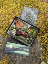 Load image into Gallery viewer, Wiggler in a Stump — Handmade Sculptural Brooch
