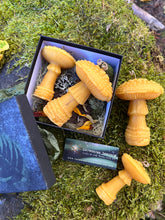 Load image into Gallery viewer, Forest Creature Candle Sets: Toads and Mushrooms

