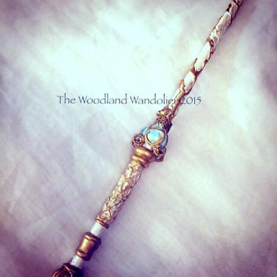 Megan's Missing Fairy Godmother Wand