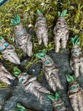 Load image into Gallery viewer, A cluster of plant guardian rootlings with leafy sprout tops, tucked between moss and stone
