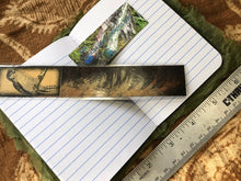Load image into Gallery viewer, Dragon Fern Notebooks — Wholesale
