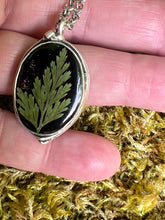 Load image into Gallery viewer, Fern Pendants
