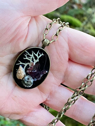 brass pendant with seashells and lichen in it, preserved by resin, on a brass chain