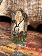 Load image into Gallery viewer, Spiral Dance Vine Terrarium Crystals
